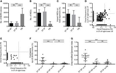 In rheumatoid arthritis inflamed joints share dominant patient-specific B-cell clones